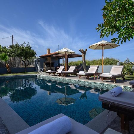 Platanias Villa Spyros 外观 照片